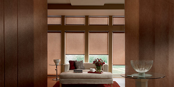 ROLLER-SHADES-3